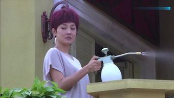 芳邻在线观看,邻里间的温馨互动与美好时光  第3张