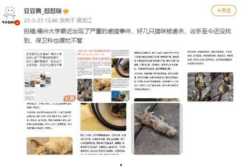 福州自媒体爆料事件视频,视频揭露惊人真相 第1张 福州自媒体爆料事件视频,视频揭露惊人真相 第1张